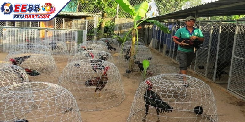 Luyện tập đóng vai trò quyết định trong việc hình thành thể lực